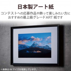 【代引不可】プリンター用紙 写真用紙 A4 20枚 マット 写真用アートペーパー 最上級グレードART紙 厚手 クオリティマット インクジェット用紙 ホワイト エレコム EJK-QMA420