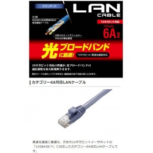 【即納】【代引不可】LANケーブル CAT6A 50m 10Gbps スタンダード 高速光通信対応 爪折れ防止 ブルー エレコム LD-GPA/BU50