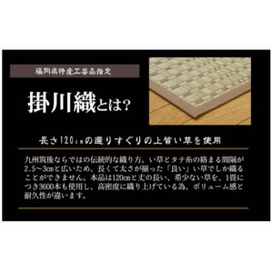 【北海道・沖縄・離島配送不可】【代引不可】い草 ラグ カーペット マット い草カーペット 江戸間3畳 約174×261cm 上質な九州産い草使用 調湿 空気浄化 抗菌防臭 夏用 春夏用 モダン 掛川織 奥丹後 純国産 日本製 ベージュ IKEHIKO 4412903