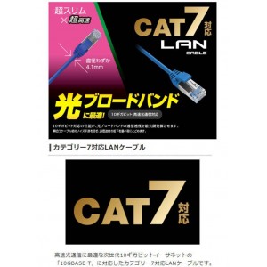 【即納】【代引不可】LANケーブル CAT7 10m 10Gbps 600MHz 超スリム 超高速 高速光通信対応 爪折れ防止コネクタ ブルー エレコム LD-TWSS/BU10