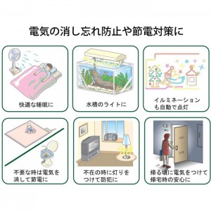 タイマー コンセント ボタン式 デジタル 1回だけ イルミネーション 節電 防犯  1回だけ入・切 デジタルタイマー リーベックス CT24D