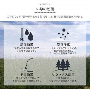 【北海道・沖縄・離島配送不可】【代引不可】い草ラグ 江戸間4.5畳 約261×261cm 花ござ カーペット い草 ラグ 4.5畳 ギャッベ柄 裏貼り無し 抗菌防臭 消臭 IKEHIKO G4338004