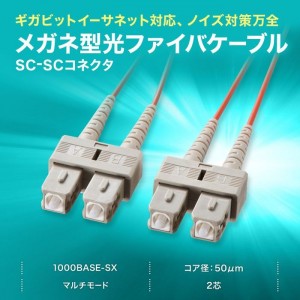 【即納】【代引不可】メガネ型光ファイバケーブル（マルチ50μm、SC×2-SC×2、1m） サンワサプライ HKB-SCSC5-01N